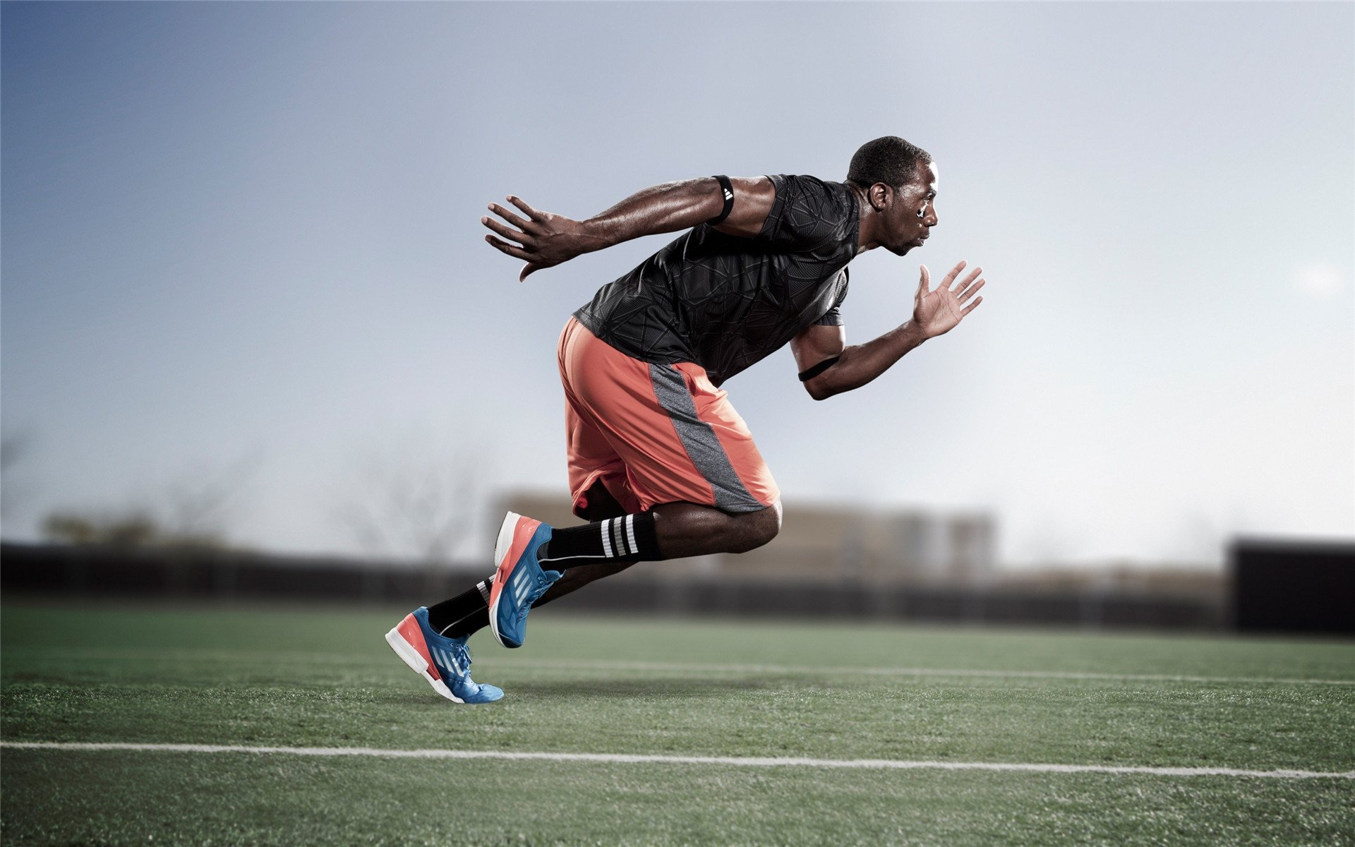 体育高职专业设置调整聚焦应用技能，体育类的高职专科有哪些